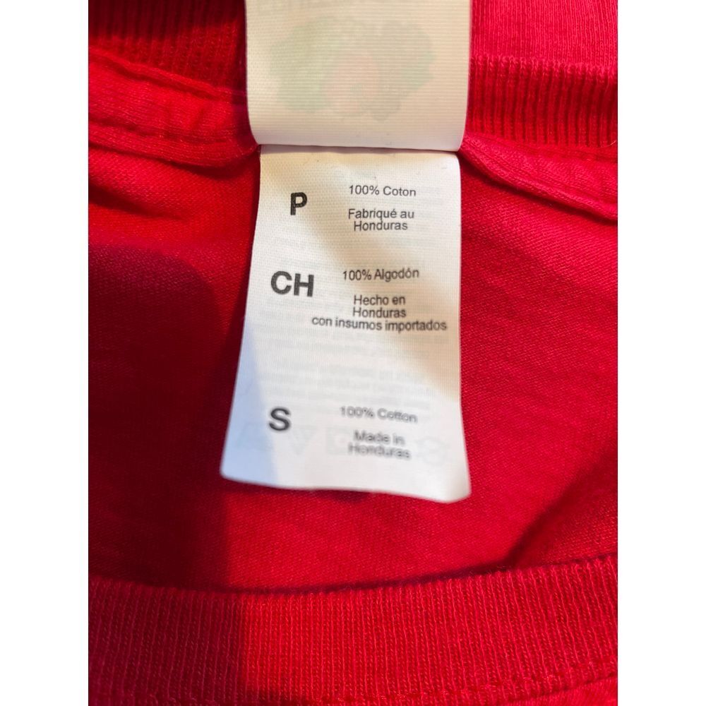 Norfolk Colony Delta Phi Lambda Red Sorority Gree… - image 5